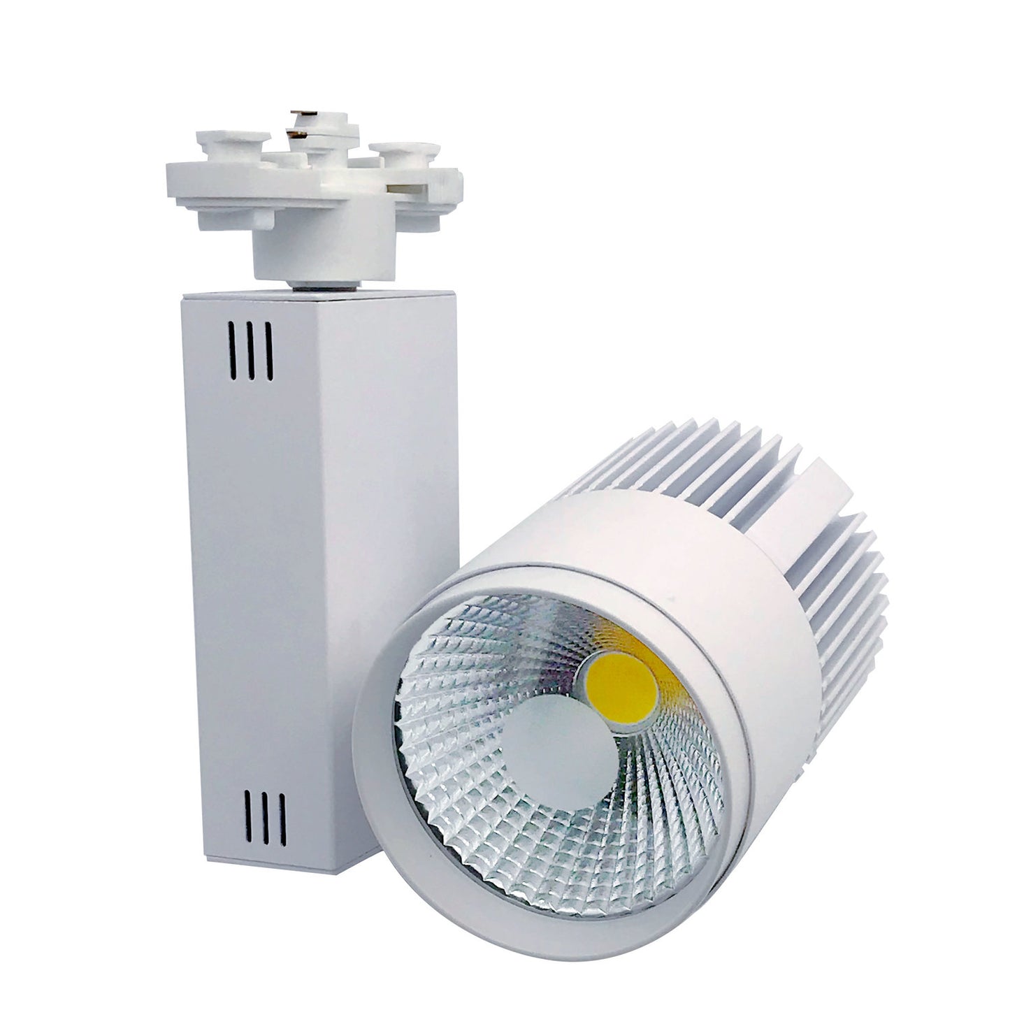 Lumiram Full Spectrum LED Track Light Model 1